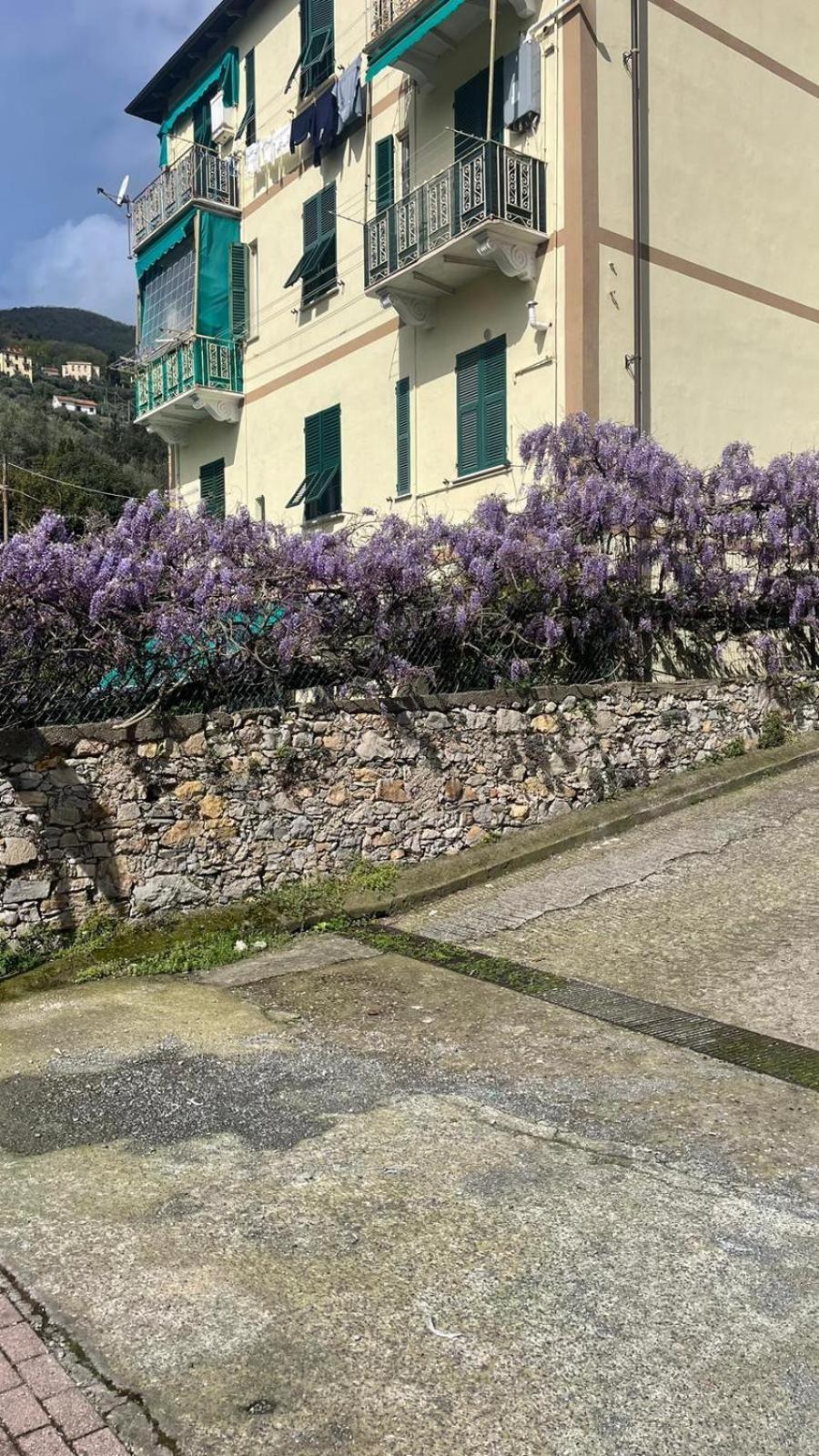 Chez Amelie Daire La Spezia Dış mekan fotoğraf