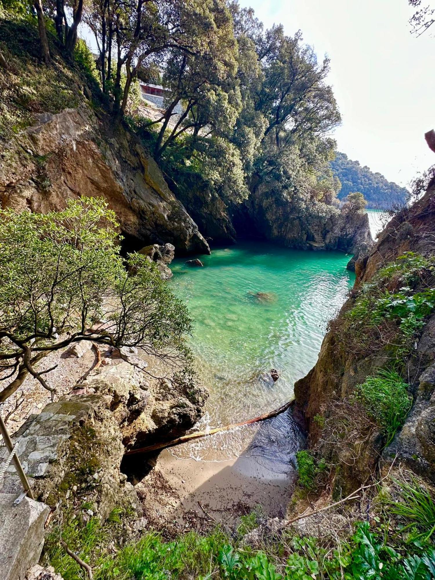 Chez Amelie Daire La Spezia Dış mekan fotoğraf