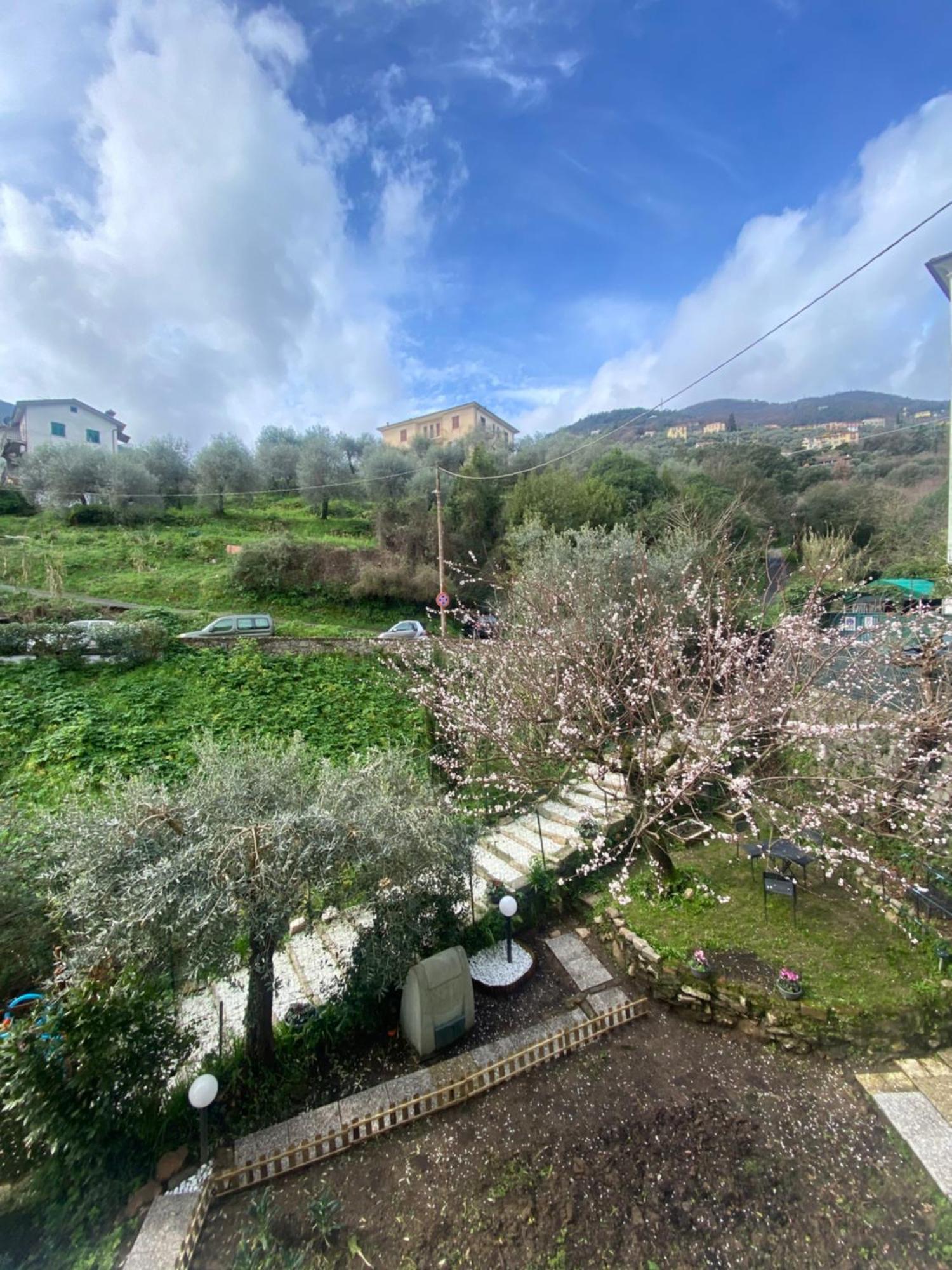 Chez Amelie Daire La Spezia Dış mekan fotoğraf